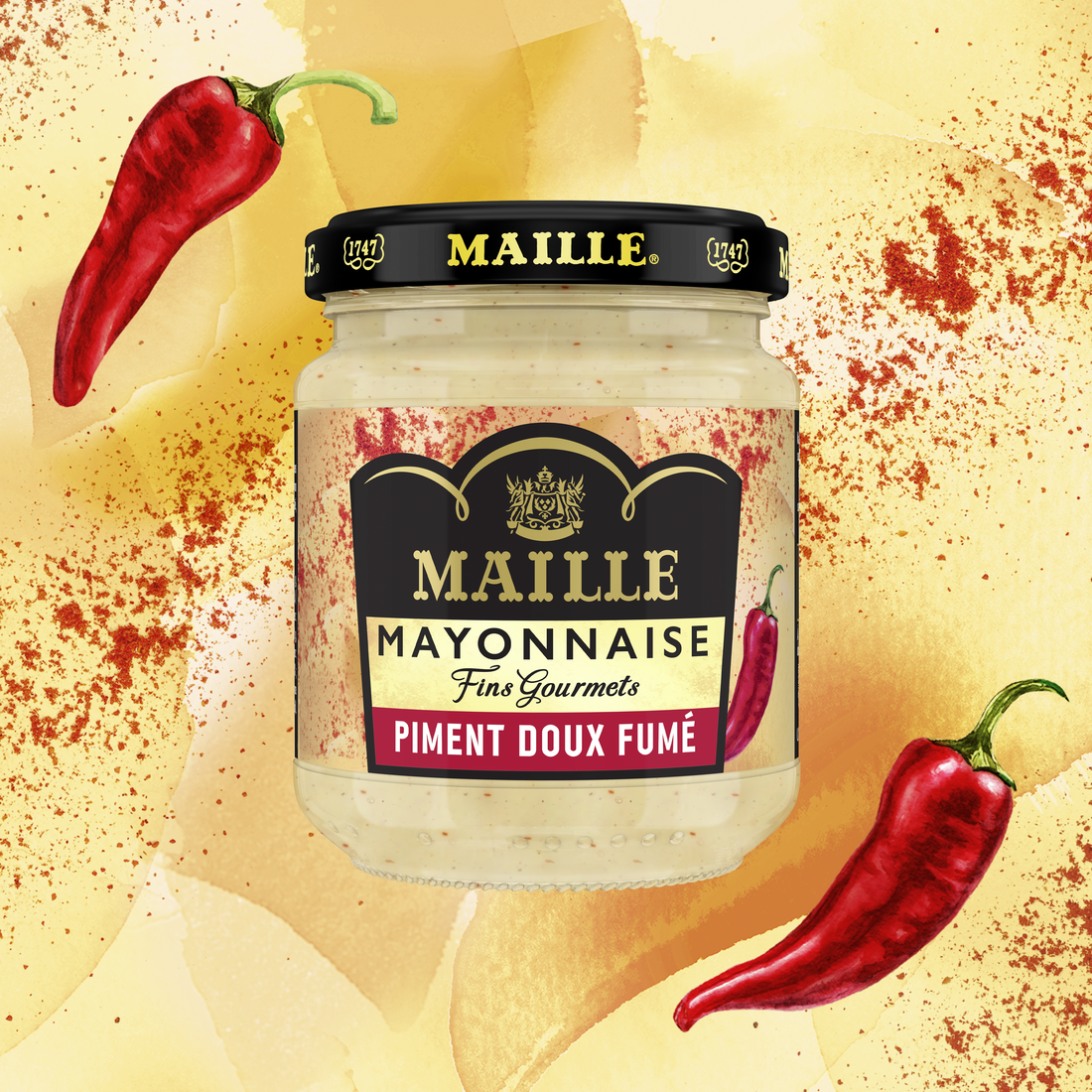 maille-coffret-escale-en-m-diterran-e-mayonnaise-piment-doux-a-oli-pot-gr-s-spat image 7