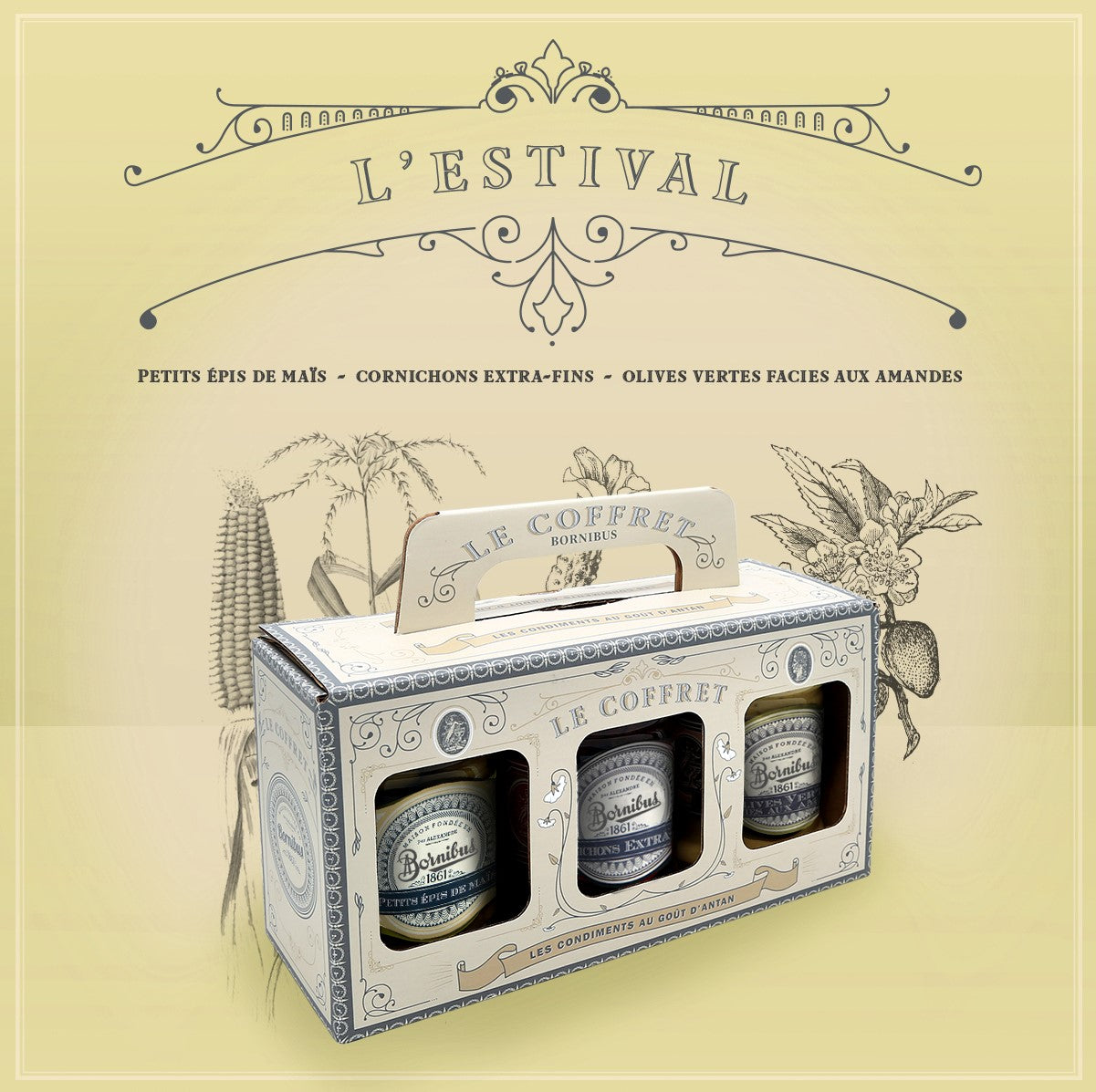 bornibus-coffret-l-estival-pis-de-ma-s-cornichons-extra-fins-olives-vertes-farci image 1